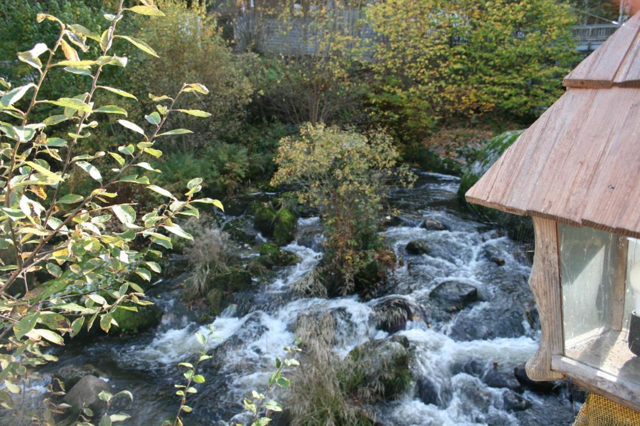 Gastehaus Zur Lilie Otel Triberg im Schwarzwald Dış mekan fotoğraf